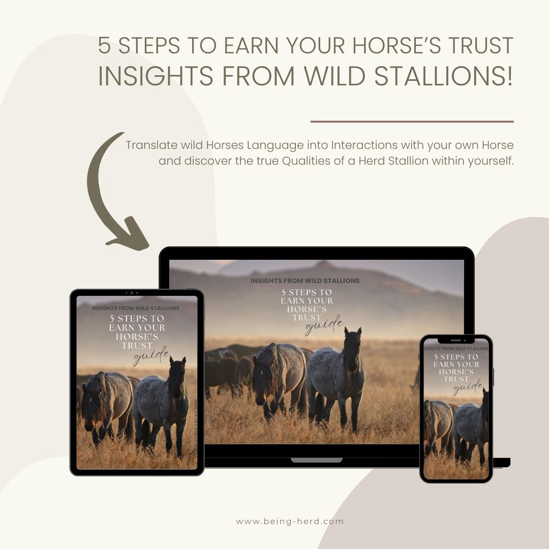 Free Guide